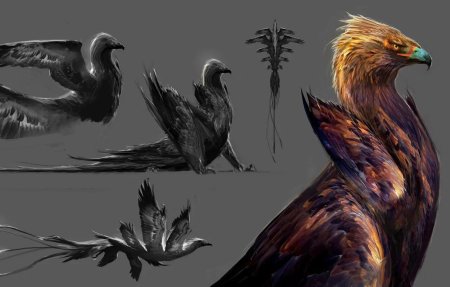 Птица Гром Гарри Поттер