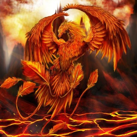 Рарог Сокол Феникс Финист