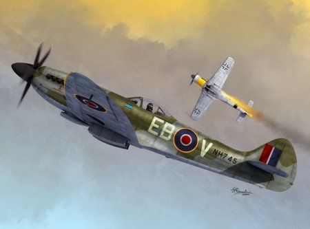 Spitfire MK 14
