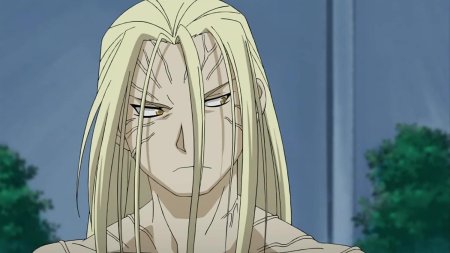 Стальной алхимик братство отец