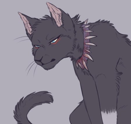 Коты Воители Бич