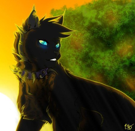 Коты Воители Бич