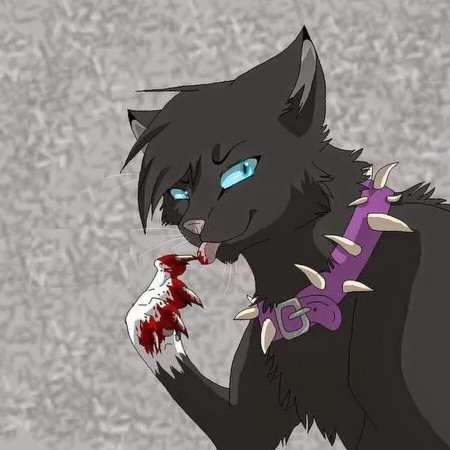 Коты Воители Бич