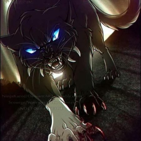 Коты Воители Бич