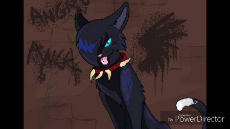 Коты Воители Бич с крыльями