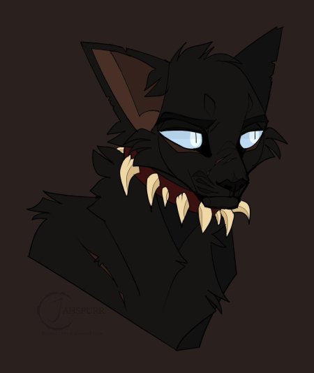 Коты Воители Бич