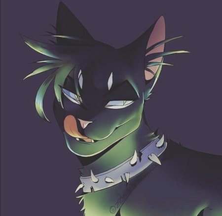 Коты Воители Бич