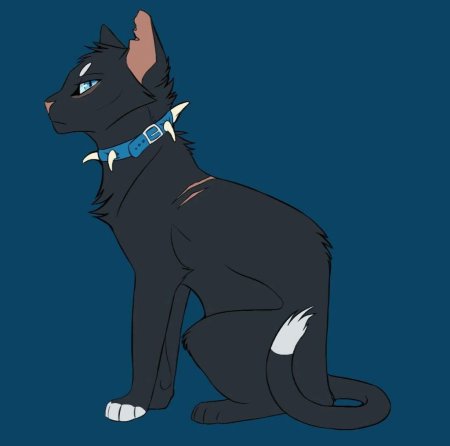 Коты Воители Бич