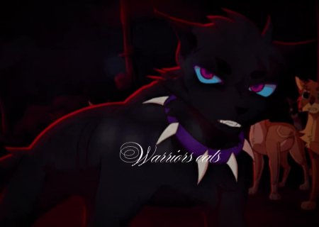 Коты Воители Бич