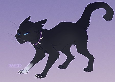 Бич коты Воители арт