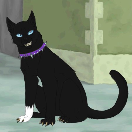 Коты Воители Бич