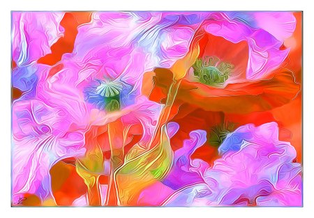 Яркие цветы