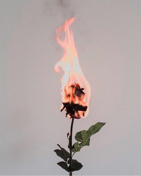 Горящие цветы Эстетика