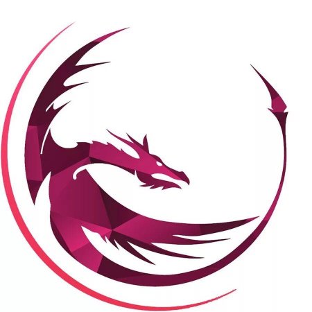 Дракон в круге