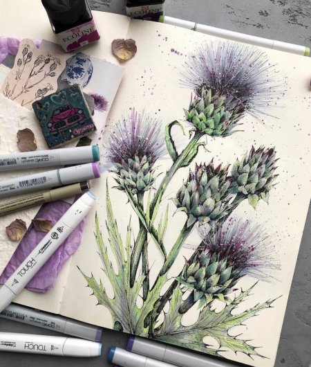 Екатерина като Ботанический скетчинг