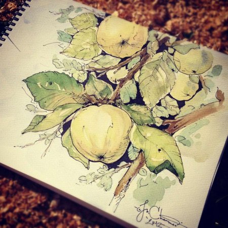 Акварельные скетчи