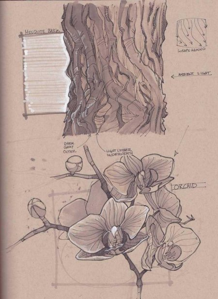 Скетч ботаника