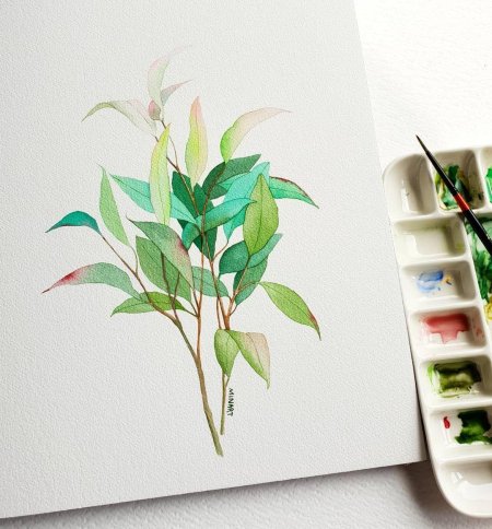 Ботанический скетч акварелью