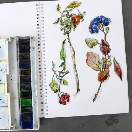 Екатерина като Ботанический скетчинг