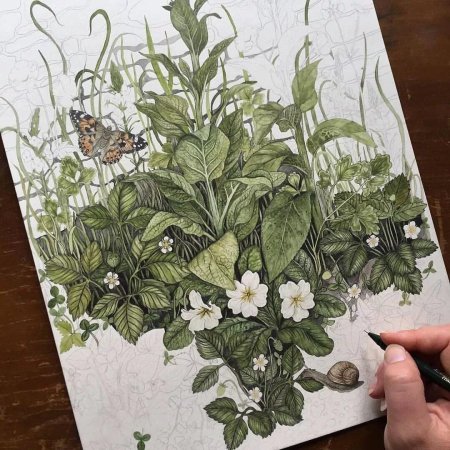 Екатерина като Ботанический скетчинг