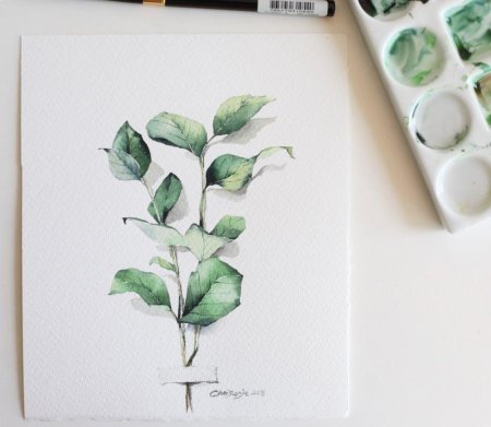 Ботанический скетчинг