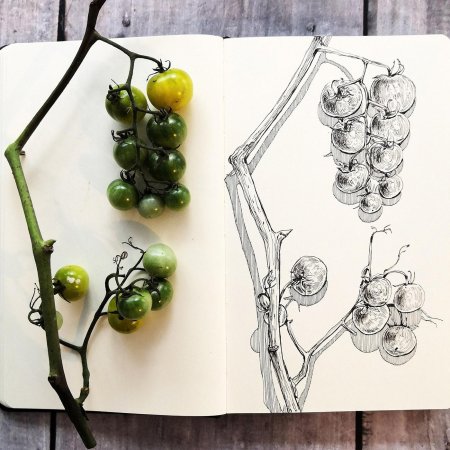 Ботанический скетч