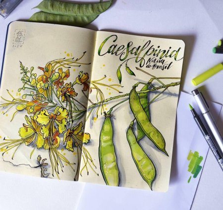 Екатерина като Ботанический скетчинг