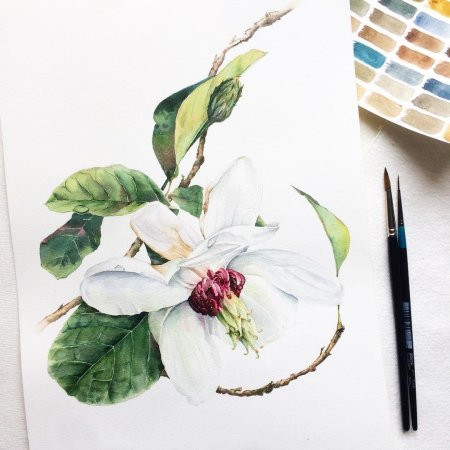 Скетчинг акварелью ботаника