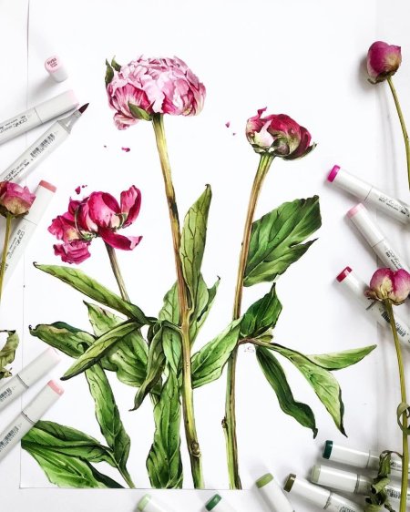 Флористический (Ботанический) скетчинг