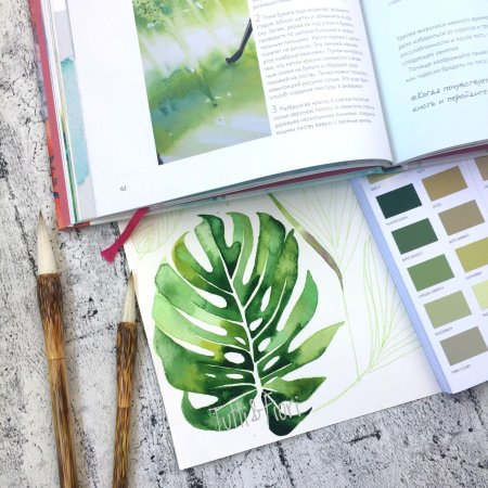 Ботанический скетчинг акварель