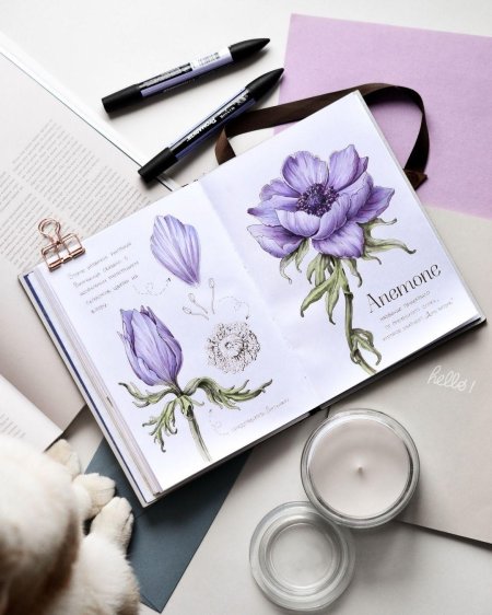 Екатерина като Ботанический скетчинг