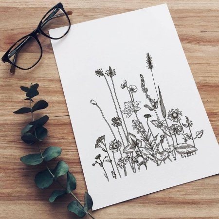 Скетч ботаника