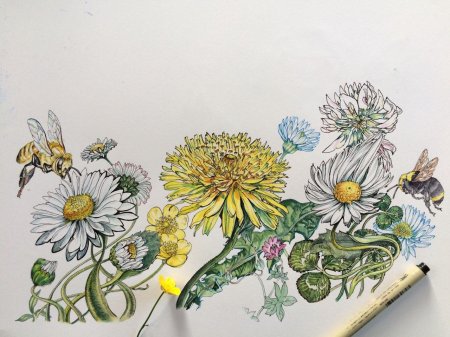 Ботанический скетчинг