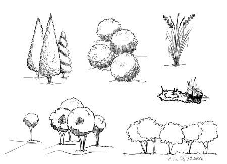 Архитектурная Графика деревья