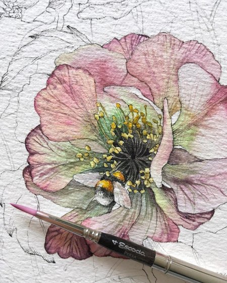 Ботанический скетчинг Ирис