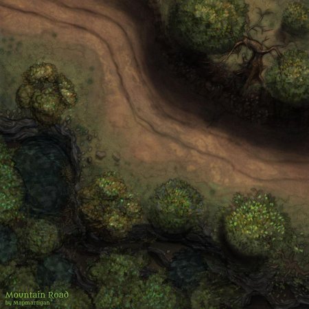 Battle Map дорога