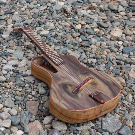 Арктоп гитара