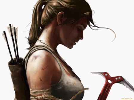 Лара Крофт томб Райдер 2013