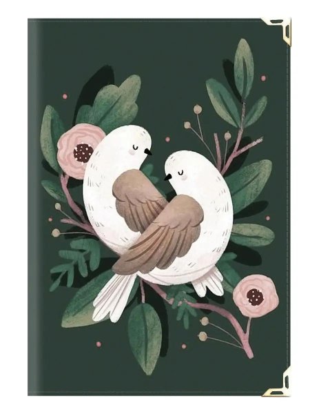 Птицы иллюстрации