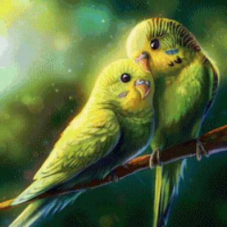 Неразлучники попугаи