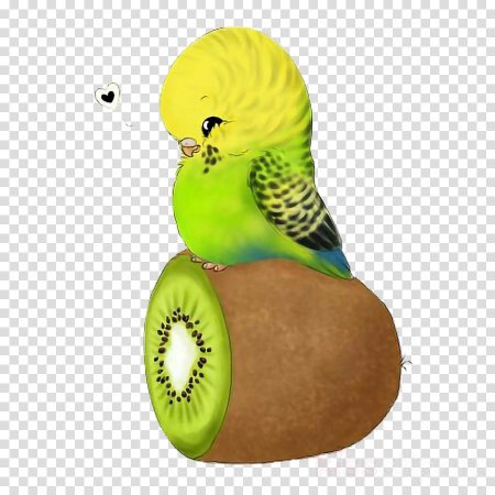 Волнистый попугайчик аниме