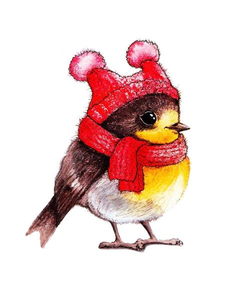 Птичка рисунок