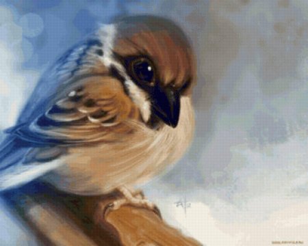 Птичка рисунок