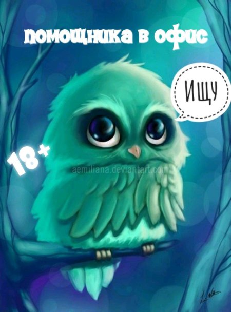 Совы мультяшные