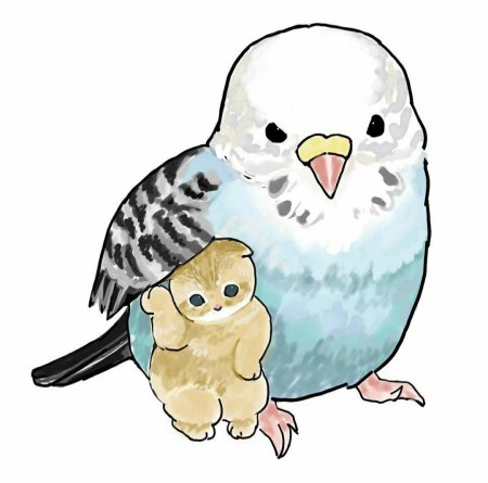 Ciao Salut котики