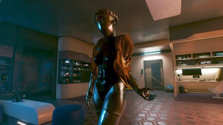 Cyberpunk 2077 роботы