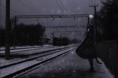 Ночной поезд аниме