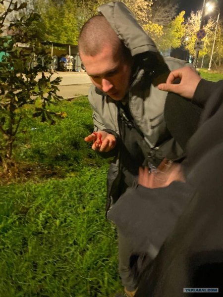 Сплитика избили в лесу