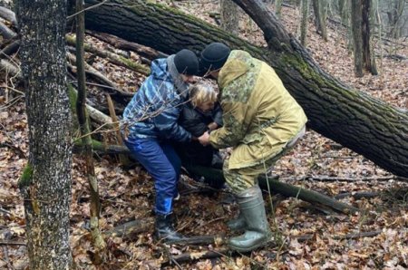 Заблудился в лесу