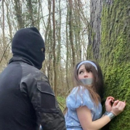 Belle Dolphin похищение